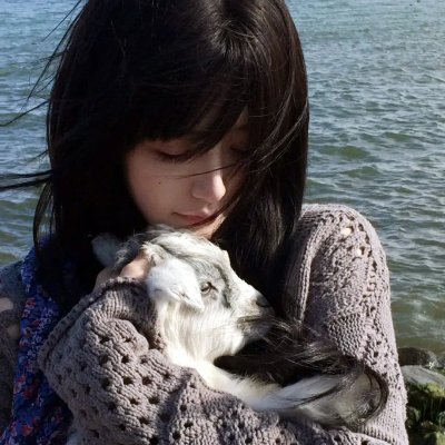少年鳄鱼帮2重返荣耀